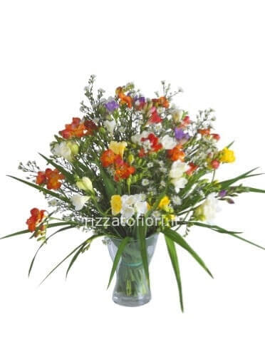 Bouquet di fresie ricco