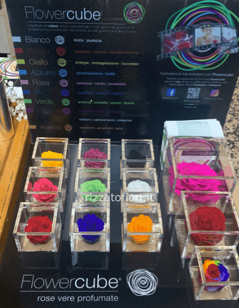 Rose stabilizzate 12 colori disponibili e 3 dimensioni